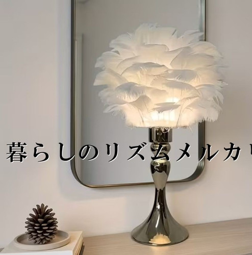 Lampada piuma bianca - lampada,