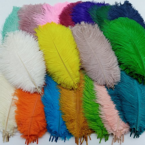 Piume struzzo colorate - 10,