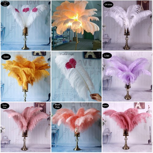 Decorazione costume con piume - decorazione,