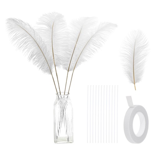 Pcs piume struzzo - piume,