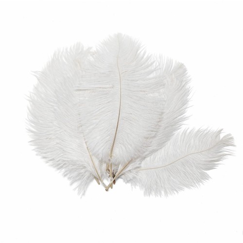 Piume struzzo bianche - struzzo,