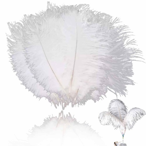 Pezzi piume struzzo - piume, di
