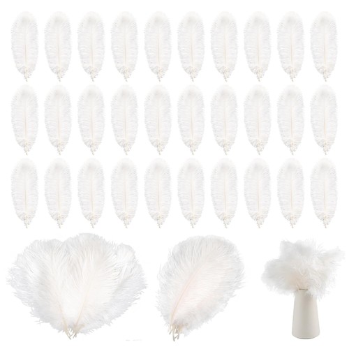 Piume struzzo - 30,