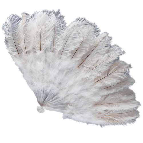 Ventaglio piume struzzo - piume, di