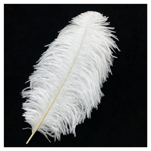 Piume struzzo grandi 45 - piume,
