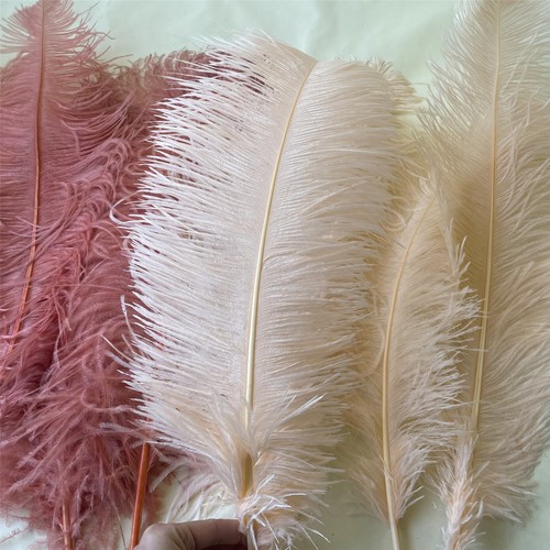 Costume sposa piume di - costume, da