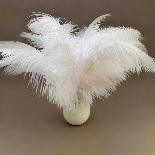 Piume struzzo bianco - piume, di