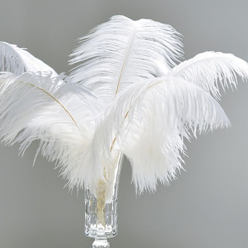Dinghaole piume struzzo - 10,