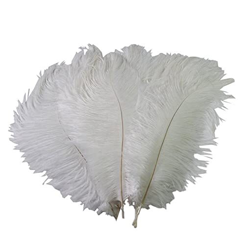 Piume struzzo bianche - 50,