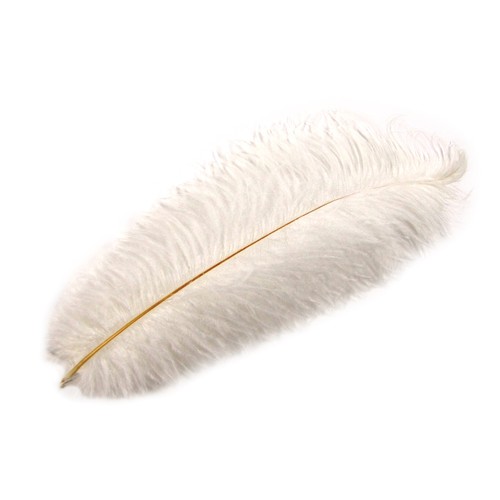Cappello vittoriano piuma - , di