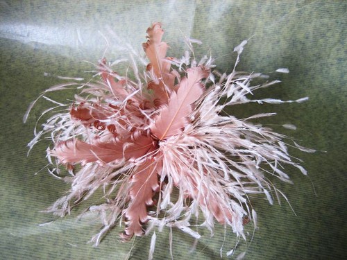 Fascinator ascot piume - ascot,